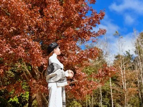 Khu rừng Quảng Trị có khung cảnh đẹp như trời Âu, hút khách tới check-in