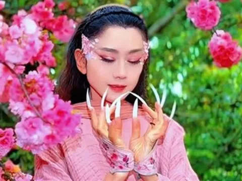 Giá vé cao 20 triệu đồng, đêm diễn của Dương Lệ Bình tại Hà Nội gây tranh cãi