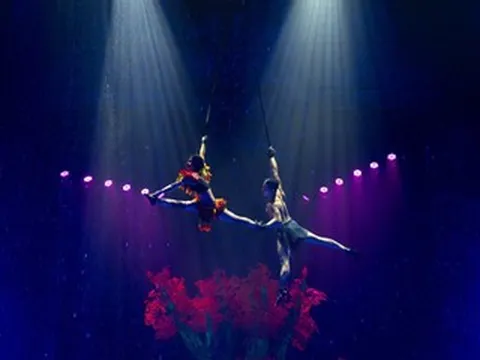 Nghệ sĩ xiếc gặp sự cố, đối mặt nguy hiểm khi biểu diễn trên không