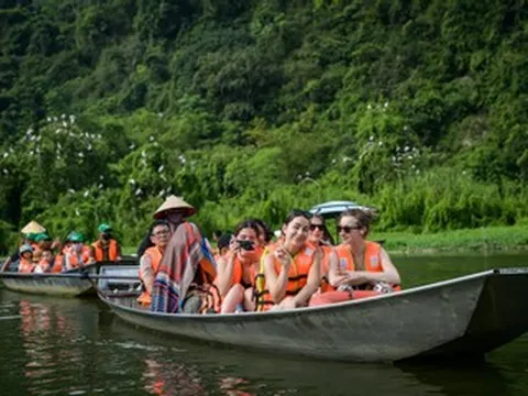 Mê hoặc khoảnh khắc hàng vạn chim hoang dã bay về tổ ở Ninh Bình