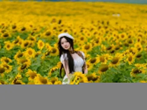 Ken đặc 'nàng thơ' tại cánh đồng hoa hướng dương hot nhất Nghệ An