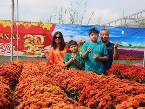 Nhiều tuyến du lịch trải nghiệm phục vụ du khách đến Festival Hoa - Kiểng Sa Đéc