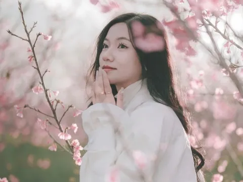 Nơi ngắm hoa anh đào 'trốn ồn ào' dịp Tết Dương lịch ở Điện Biên