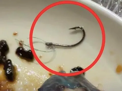 Khách phát hiện lưỡi câu trong đồ ăn, nhà hàng miễn hóa đơn hơn 22 triệu đồng