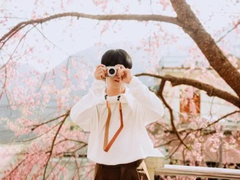 Khách Hà Nội vượt lạnh, di chuyển hơn 400km đến Tuyên Quang ngắm hoa mai anh đào