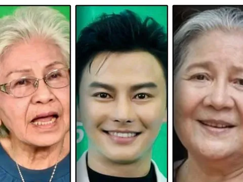 Văn nghệ sĩ TP HCM háo hức với hàng loạt chương trình chào đón Xuân Bính Ngọ 2026