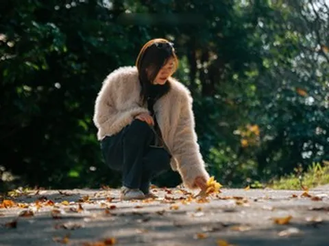 Rừng phong hương gần ngôi chùa cổ ở Hải Phòng hút khách check-in mùa thay lá