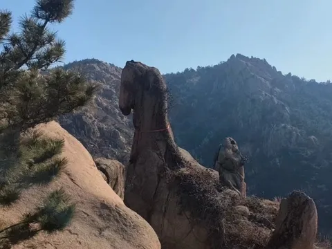 Đổ xô chụp ảnh tảng đá hình ngựa tại Trung Quốc