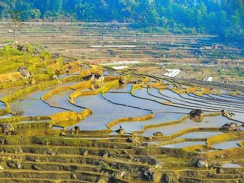 Khách Tây thích thú check-in ruộng bậc thang mùa đổ nước ở Pù Luông