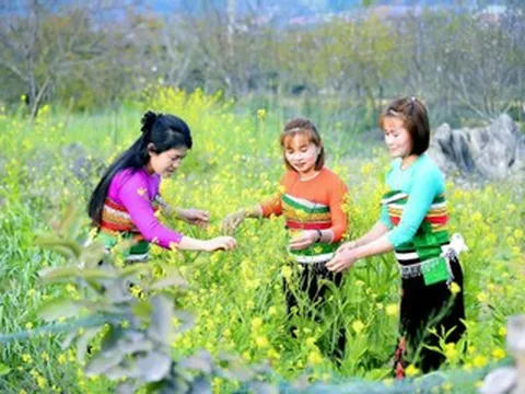 Check-in xuân sớm ở vùng cao xứ Thanh, hoa đào, hoa mận khoe sắc