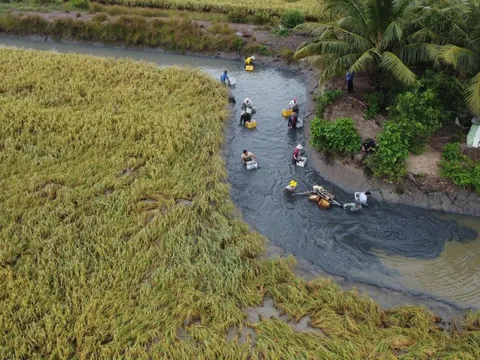 ĐẤT ĐÃ ẤM LÊN