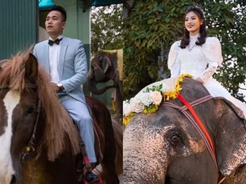 Đám cưới cưỡi voi, cưỡi ngựa độc nhất Việt Nam của cặp NSƯT xiếc