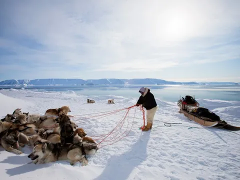 Nghề săn gấu Bắc Cực tại hòn đảo ông Trump muốn mua