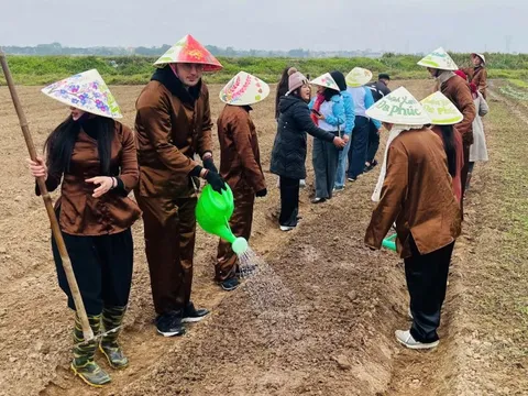 Khách Tây trồng rau giữa trời 10 độ C ở Hà Nội