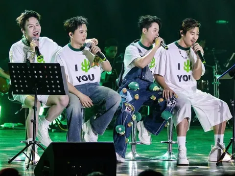 Nhóm nhạc được yêu thích nhất: Điểm chung và thế mạnh riêng