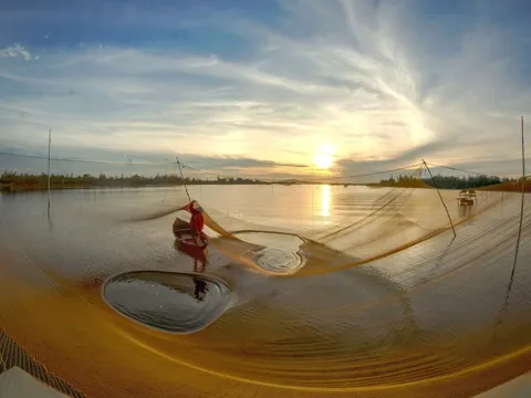 Những hồi quang vĩnh cửu của sông