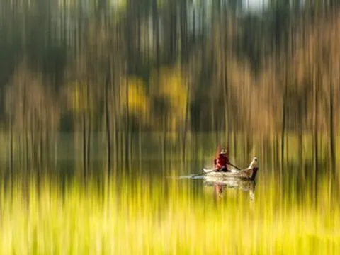 Ngắm thiên nhiên đẹp rực rỡ như tranh qua ống kính của 10 nhiếp ảnh gia