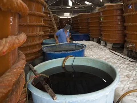 Đề xuất nghề nước mắm Phan Thiết là Di sản văn hóa phi vật thể quốc gia