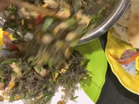 Sản vật 'trời ban' ở Quảng Ngãi ăn giòn mát, làm món trộn càng ngon