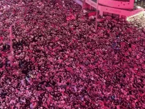 Hình ảnh người 'đông như kiến' gây sửng sốt ở Trung Quốc