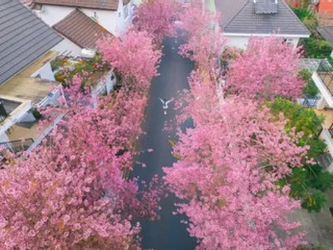 4 địa điểm du xuân 'vui quên lối về' ở miền Trung dịp tết Bính Ngọ 2026