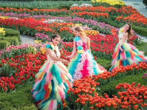 Bà Nà tự ươm trồng 1 triệu bông tulip cùng 36 giống hoa mừng Tết 2026