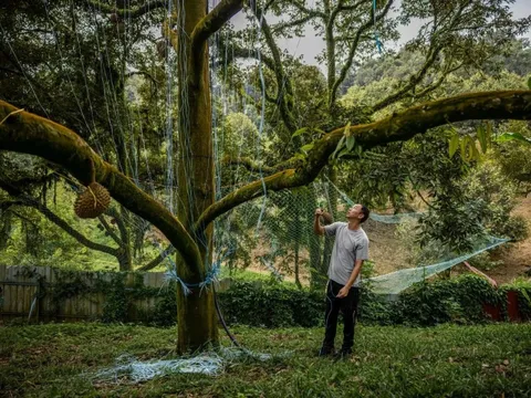 Du khách bị thách thức 'Anh có biết tôi là ai không?' tại Malaysia