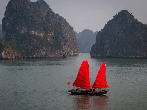 Tour du lịch thuyền buồm đỏ hiếm thấy trên vịnh Hạ Long