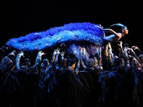 'Khổng tước' Dương Lệ Bình sải cánh tại Thủ đô khiến khán giả mê đắm