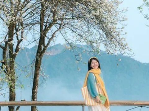 Mùa hoa sơn tra ở Tà Xùa nở rộ, khách Hà Nội vượt 240km tới check-in