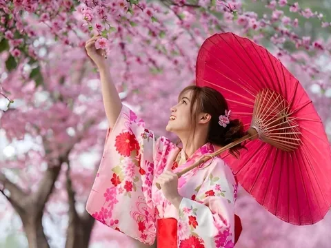 Lưu ý: Năm nay hoa anh đào Nhật Bản nở sớm