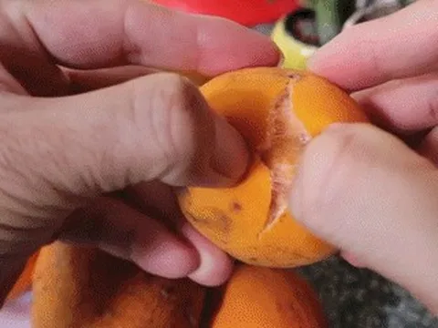 Sản vật miền Tây có múi giống mít, vị chua ngọt như măng cụt hút khách tìm mua