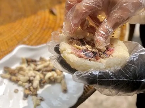 Đặc sản Điện Biên có món nhiều người ngại thử, có món được ví như 'thần dược'