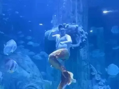 'Chàng tiên cá' hơn 100kg ở Nha Trang gây sốt với màn lắc bụng hài hước