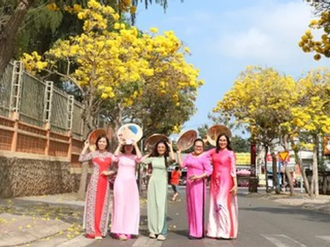 Sắc hoa phong linh 'nhuộm vàng' tuyến phố ở Vũng Tàu, du khách rủ nhau check-in
