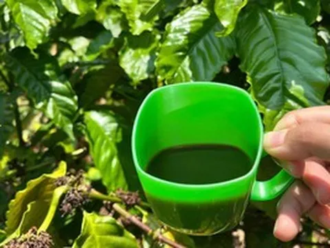 Cà phê rang củi - hương vị mộc mạc từ buôn làng