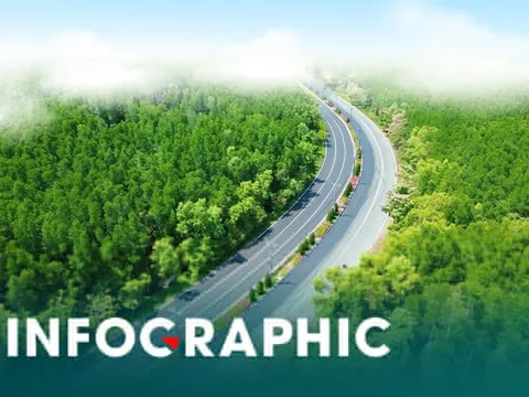 Những điều runner cần biết khi chạy 'xuyên rừng, chạm biển' ở Cần Giờ