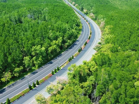 Ngắm pháo hoa, đón bình minh trên biển, chạy xuyên rừng dịp 30/4