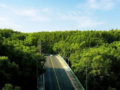 Sức hút giúp giải chạy 'xuyên rừng - chạm biển' bán hết vé sau 12 ngày