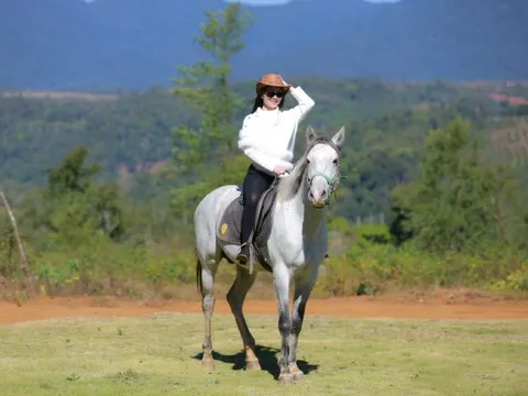 Sắp cạn phòng khách sạn, homestay tại Măng Đen dịp 30/4