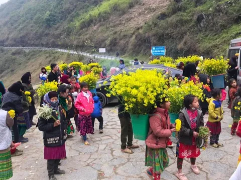 Cấm trẻ em địu hoa, xin tiền du khách tại con dốc nổi tiếng Hà Giang