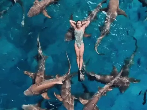 Ánh Viên bơi cùng cá mập ở biển Maldives