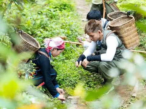 Lễ 30/4 đi đâu nếu sợ 'biển người'?