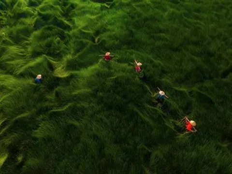 Việt Nam khẳng định vị thế trên bản đồ nhiếp ảnh quốc tế