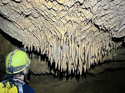 Phát hiện 26 hang động mới ở Phong Nha - Kẻ Bàng, có hang dài hơn 4km