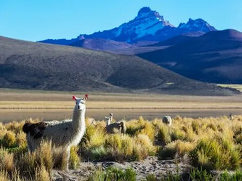 Những quốc gia miễn visa cho công dân Việt Nam năm 2026