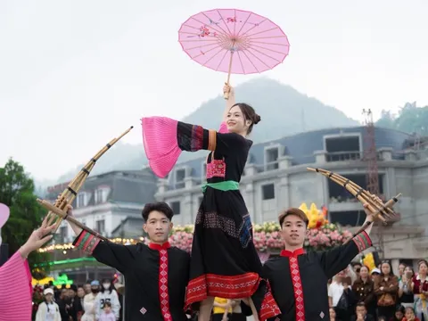 Mùa hoa hồng nhuộm sắc Fansipan, thu hút du khách dip lễ Giỗ Tổ