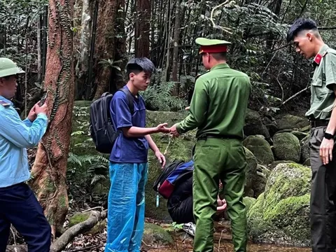Cảnh báo sau vụ nam sinh đi lạc, bị ong đốt trong rừng Tây Yên Tử