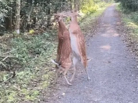 VQG Cúc Phương khuyến cáo