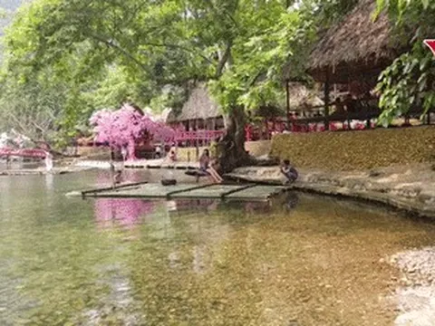 Suối 'ẩn mình' giữa núi rừng Thanh Hóa: Nước trong thấy đáy, hút khách check-in